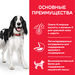 Сухой корм Hill's Science Plan для взрослых собак средних пород для поддержания иммунитета – интернет-магазин Ле’Муррр